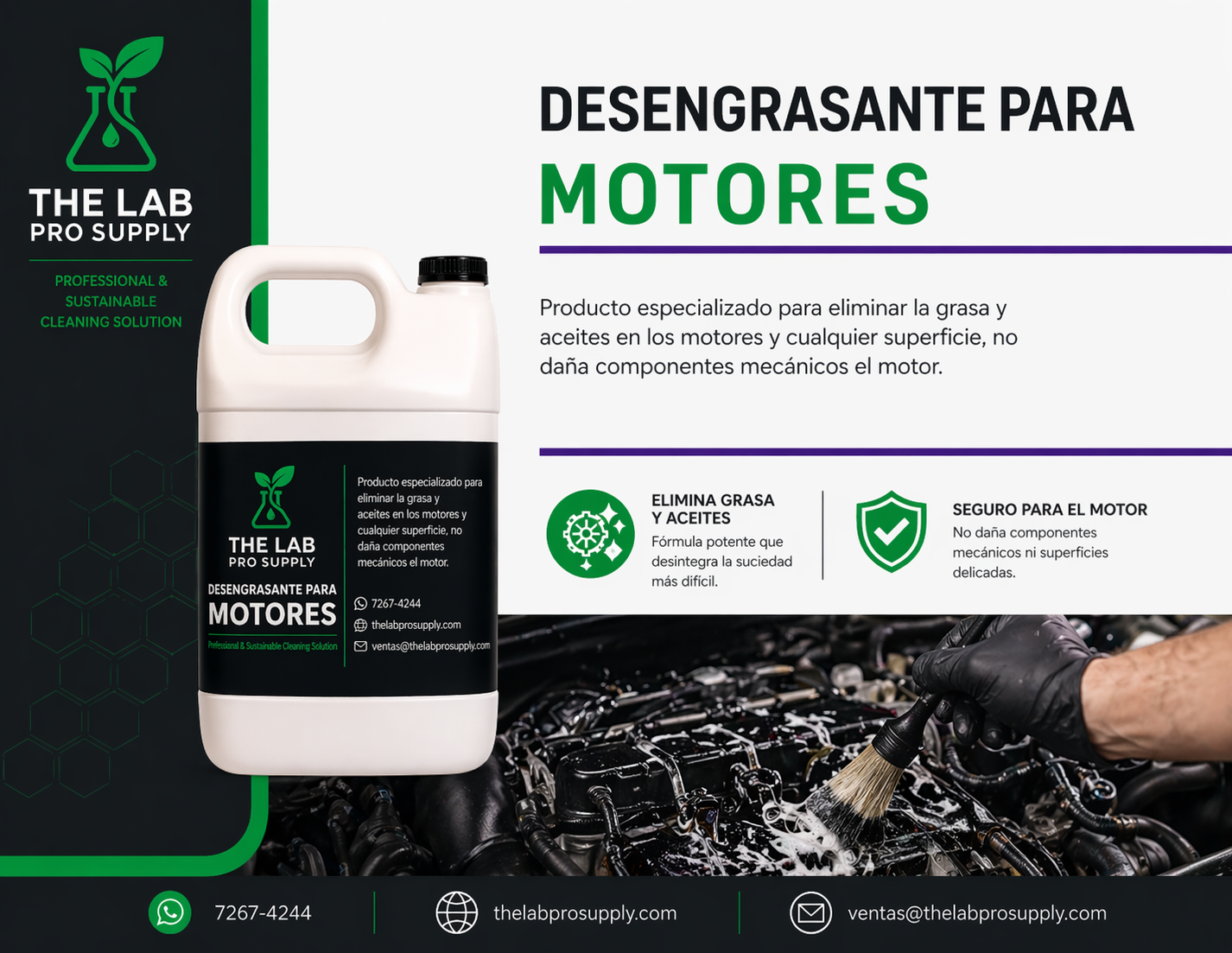 Desengrasante para Motores